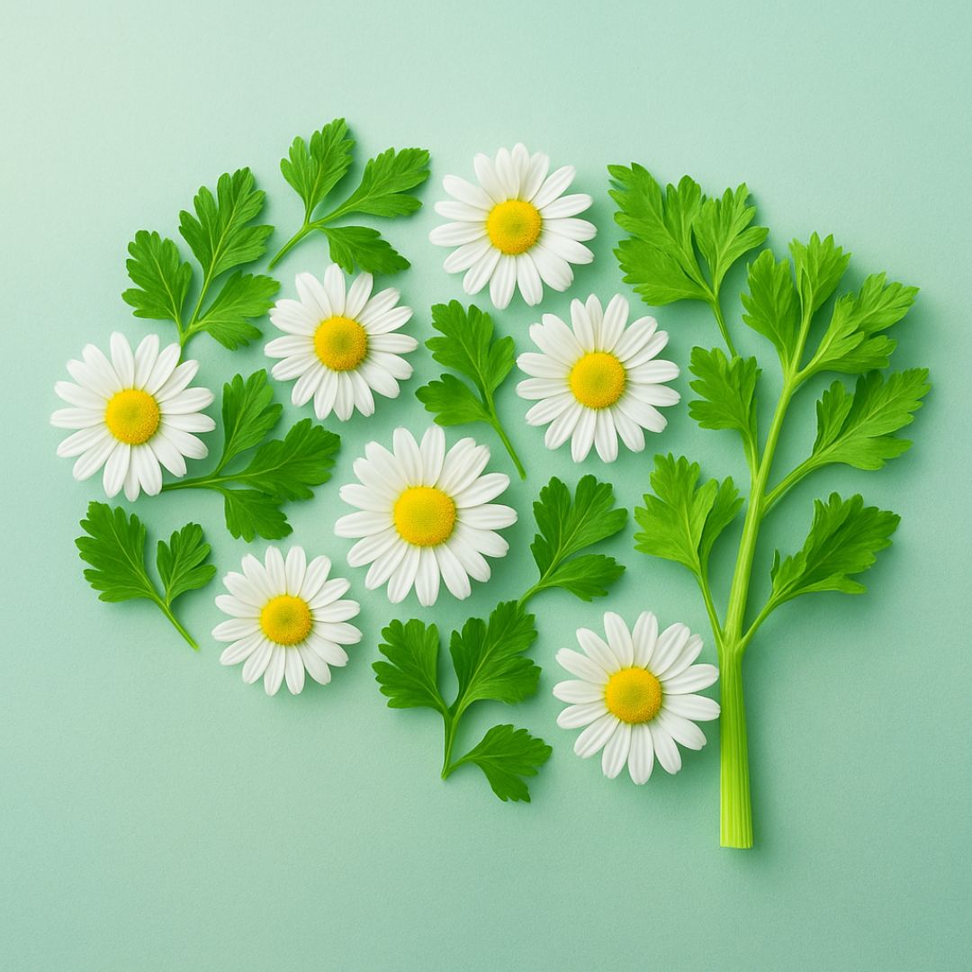 The Natural Compound That Calms Your Brain and Protects It - Apigenin