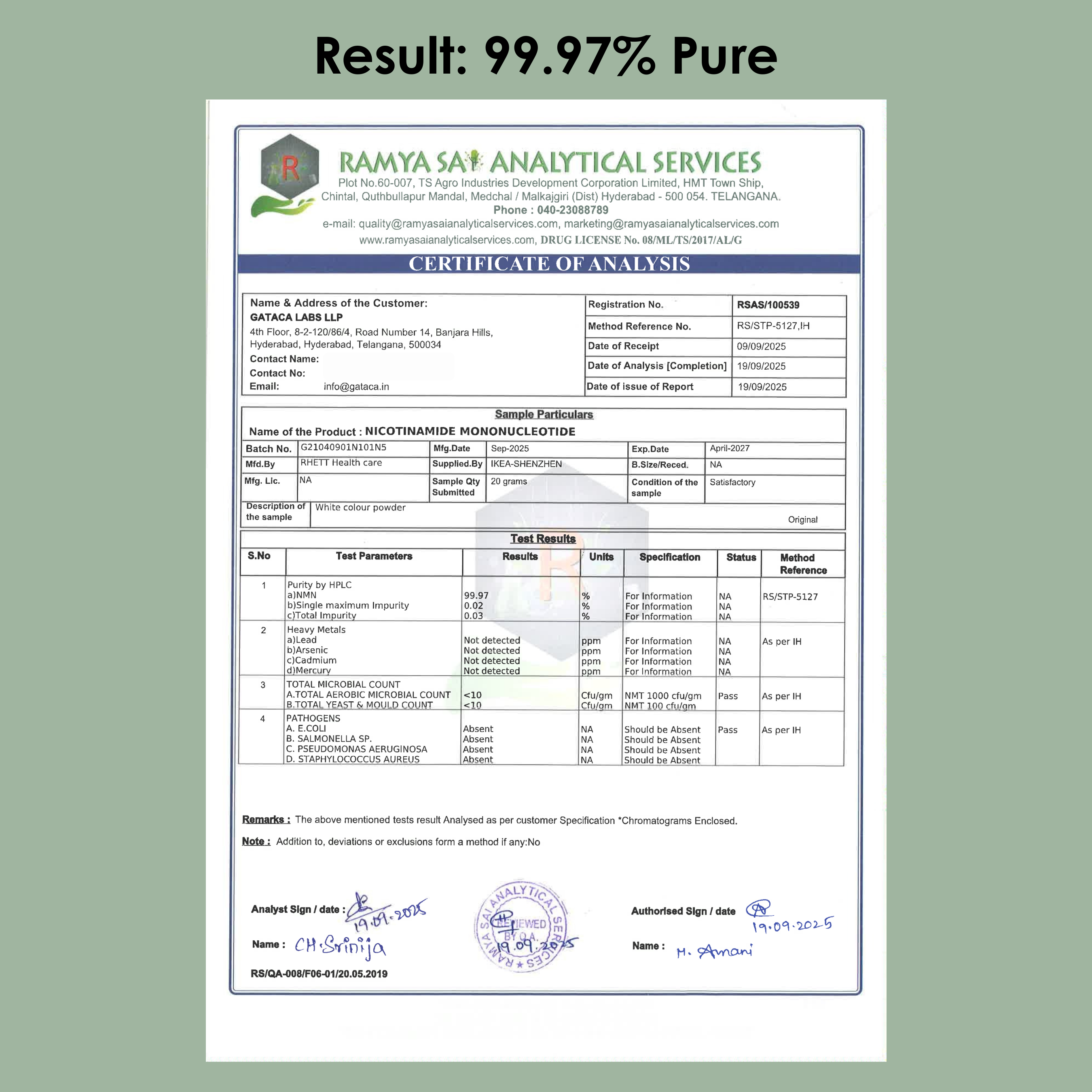 Pure β-NMN 500 mg | Nicotinamide Mononucleotide | More Energy, More Endurance, More Life
