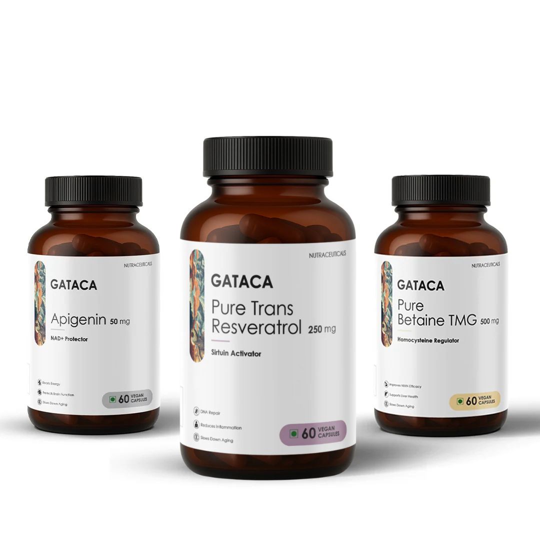 Top 5 Supplements for Brain Health and Longevity