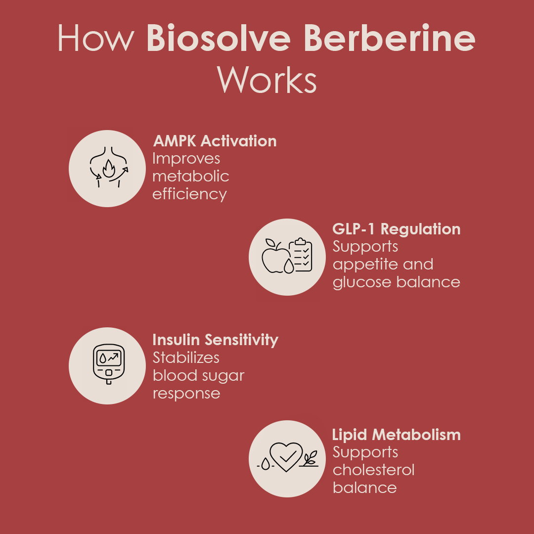 BioSolve Berberine | 9X More Absoprtion | 5-in-1 Syngergistic Blend