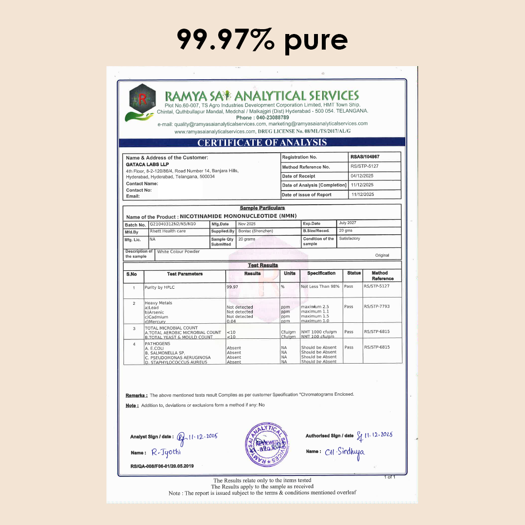 Pure β-NMN 500 mg | Nicotinamide Mononucleotide | More Energy, More Endurance, More Life