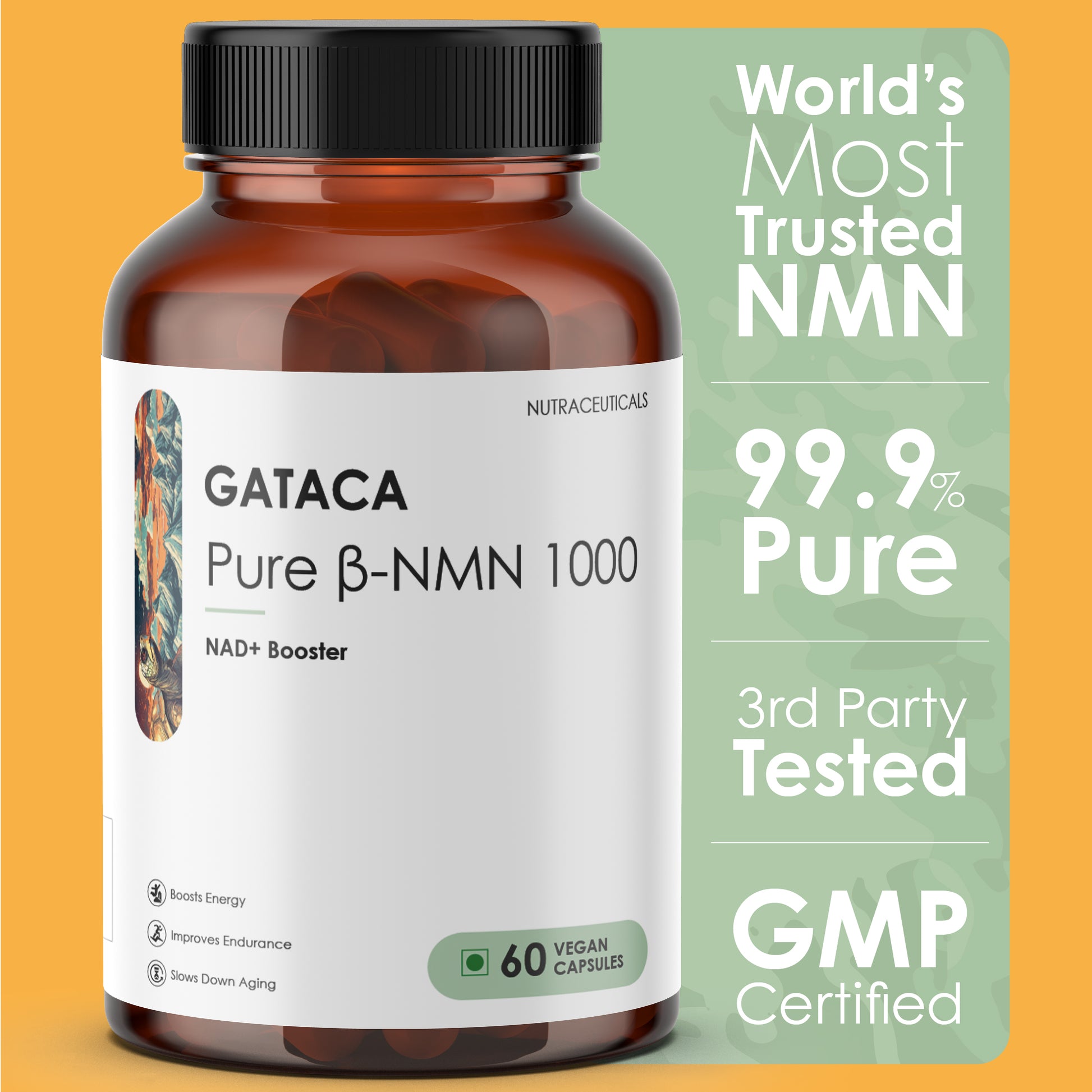 Best NMN Supplement in India – Gataca 1000mg