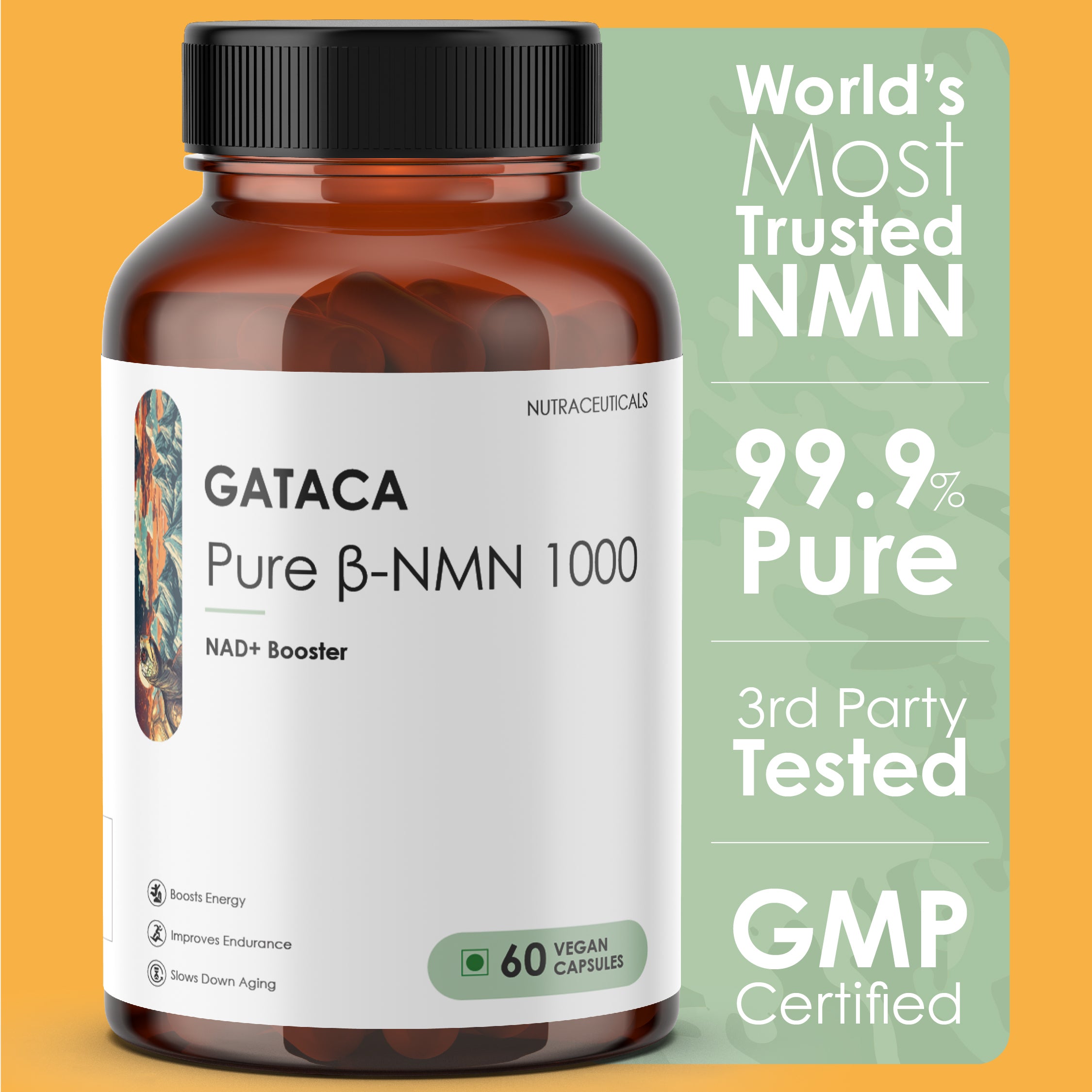 Best NMN Supplement in India – Gataca 1000mg