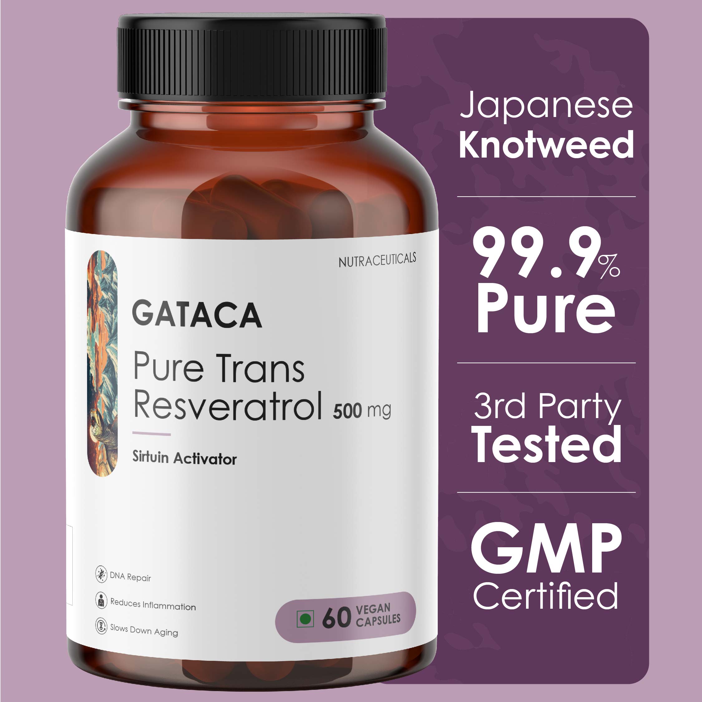 Best Resveratrol Supplement in India