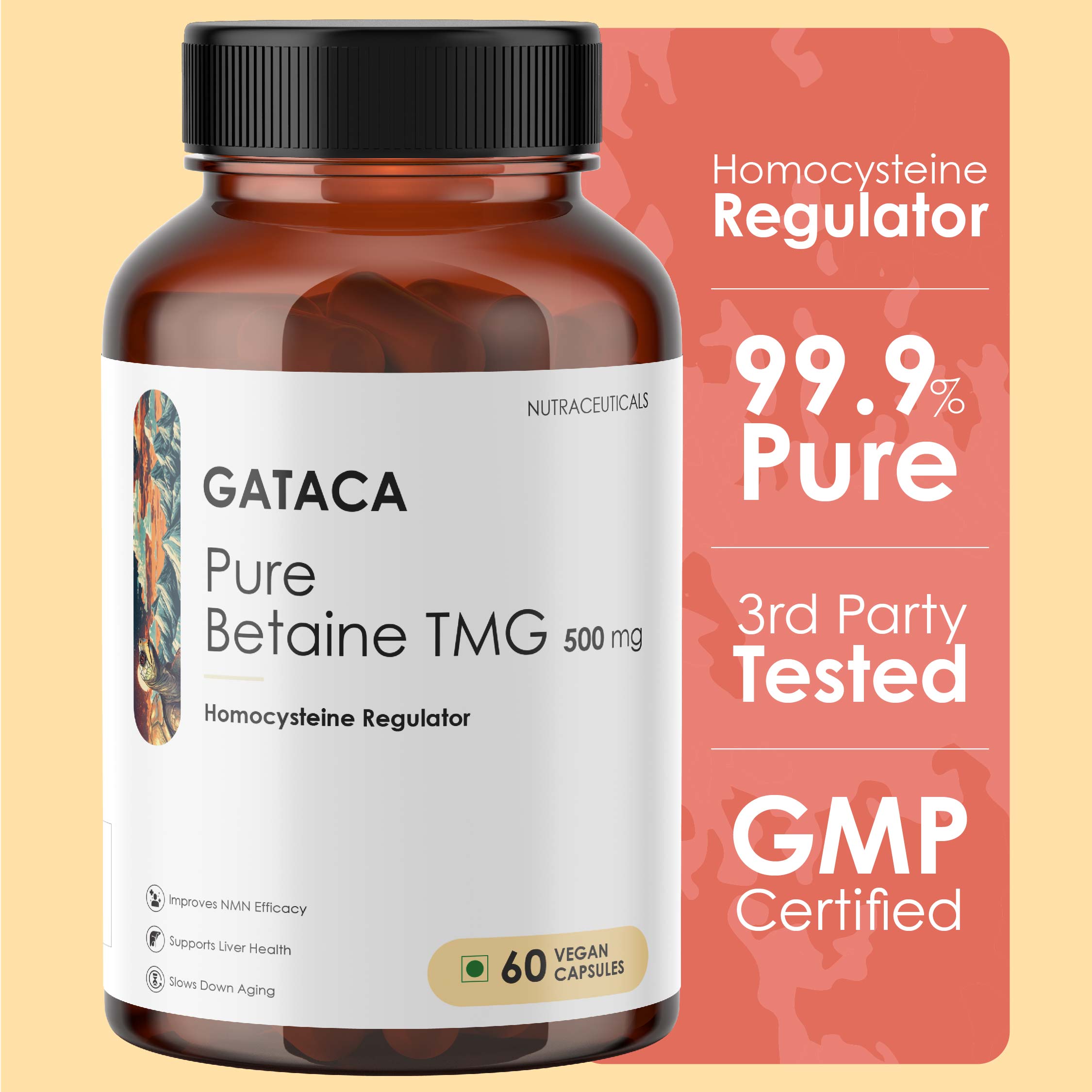 Best TMG Supplement in India – Gataca
