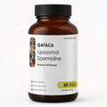 Liposomal Spermidine  | Better Absorption | Fewer Damaged Cells, Better Skin Health, More Life