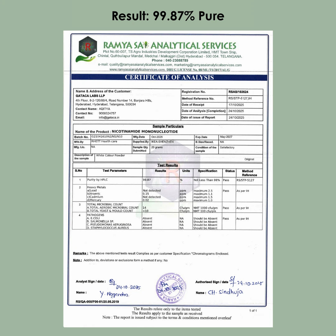 Pure β-NMN 500 mg | Nicotinamide Mononucleotide | More Energy, More Endurance, More Life