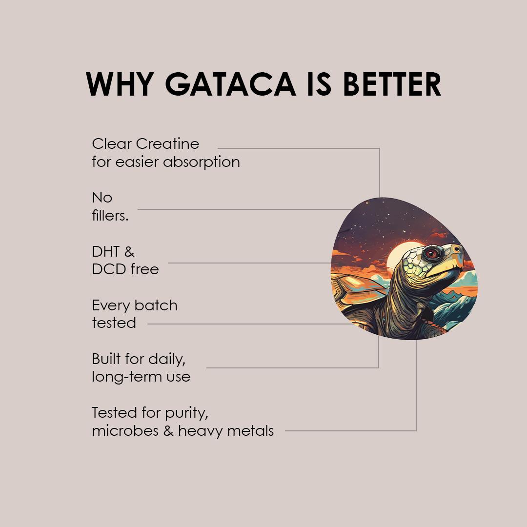 Clear Creatine + Taurine | More Strength | More Power |  Faster Recovery